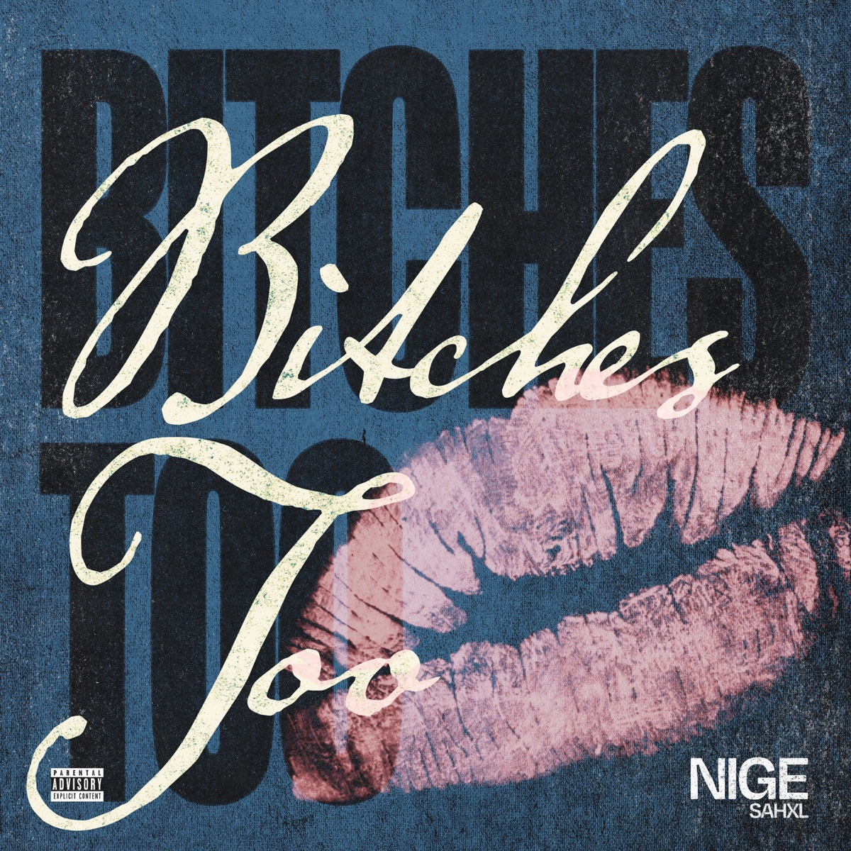 BITCHES TOO cover artwork